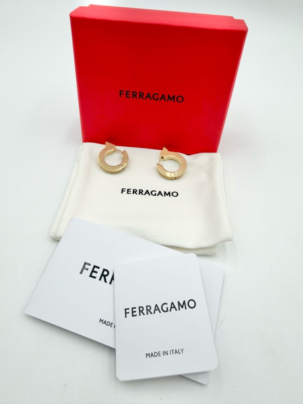 Salvatore Ferragamo Gancini earrings